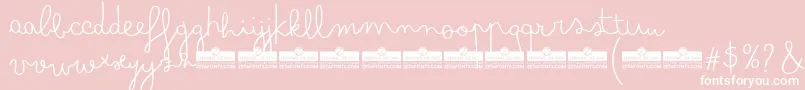 BimboFinetipTrial Font – White Fonts on Pink Background