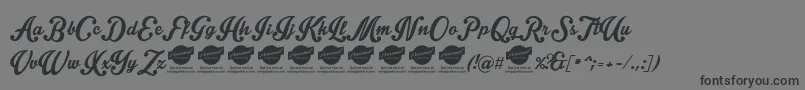 Intriquescript Font – Black Fonts on Gray Background