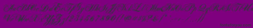 AntonellaScriptXBold Font – Black Fonts on Purple Background