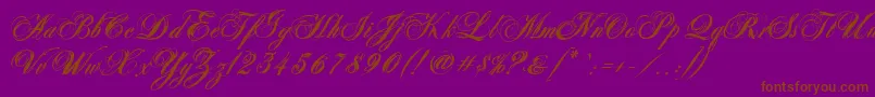 AntonellaScriptXBold-fontti – ruskeat fontit violetilla taustalla
