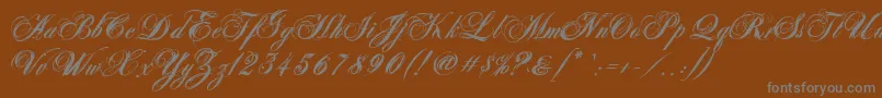フォントAntonellaScriptXBold – 茶色の背景に灰色の文字