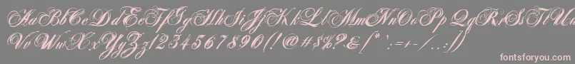 AntonellaScriptXBold Font – Pink Fonts on Gray Background