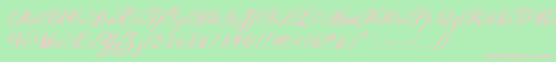 AntonellaScriptXBold Font – Pink Fonts on Green Background