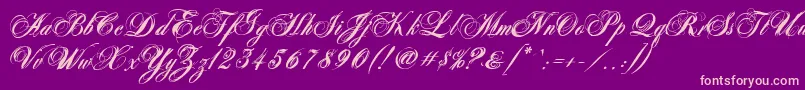 フォントAntonellaScriptXBold – 紫の背景にピンクのフォント