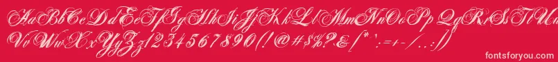 Police AntonellaScriptXBold – polices roses sur fond rouge