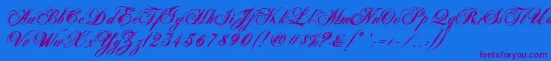 AntonellaScriptXBold-fontti – violetit fontit sinisellä taustalla