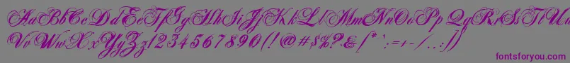 AntonellaScriptXBold Font – Purple Fonts on Gray Background