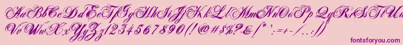 AntonellaScriptXBold Font – Purple Fonts on Pink Background