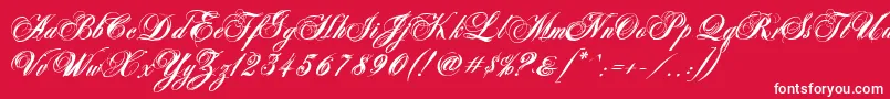 Шрифт AntonellaScriptXBold – белые шрифты на красном фоне