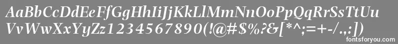 フォントPhotinamtstdSemibolditalic – 灰色の背景に白い文字