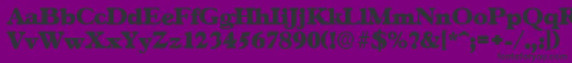 GascogneserialHeavyRegular Font – Black Fonts on Purple Background