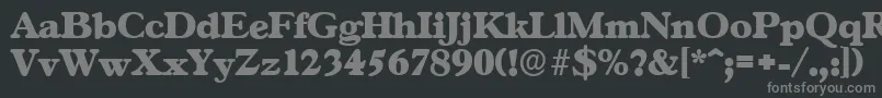 GascogneserialHeavyRegular Font – Gray Fonts on Black Background