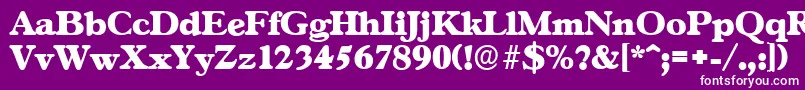 GascogneserialHeavyRegular Font – White Fonts on Purple Background