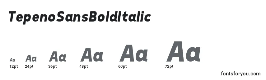 Размеры шрифта TepenoSansBoldItalic