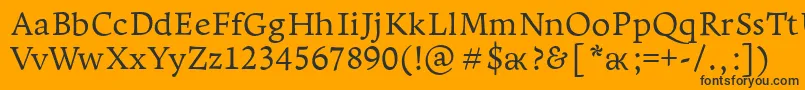 Leksapro Font – Black Fonts on Orange Background