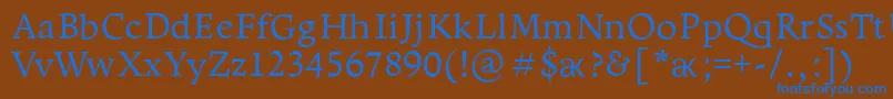 Leksapro Font – Blue Fonts on Brown Background