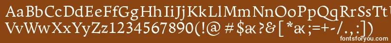 フォントLeksapro – 茶色の背景に白い文字