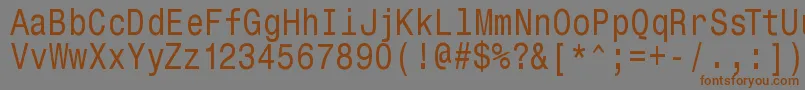 フォントMonospacetypewriter – 茶色の文字が灰色の背景にあります。