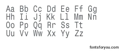 Monospacetypewriter Font