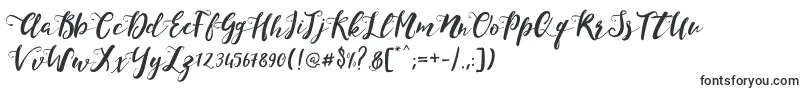 Шрифт MonicaScript – шрифты, начинающиеся на M