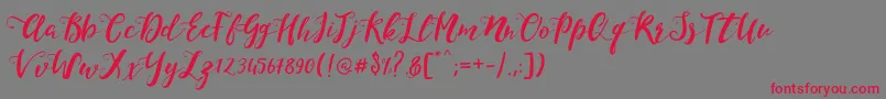 MonicaScript Font – Red Fonts on Gray Background