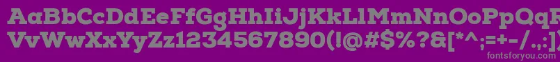 NexaSlabBlack Font – Gray Fonts on Purple Background
