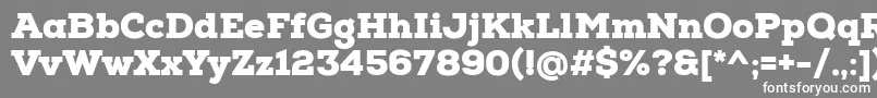 フォントNexaSlabBlack – 灰色の背景に白い文字