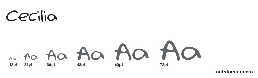 Размеры шрифта Cecilia