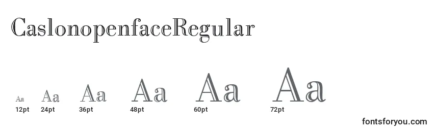 Размеры шрифта CaslonopenfaceRegular