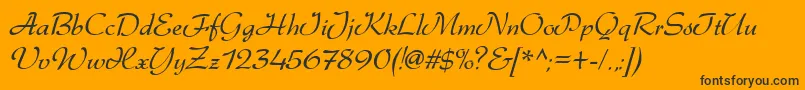 Dsgabriele Font – Black Fonts on Orange Background