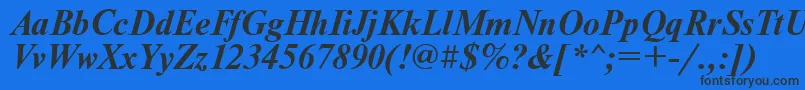 UkrainiantimesetBolditalic Font – Black Fonts on Blue Background