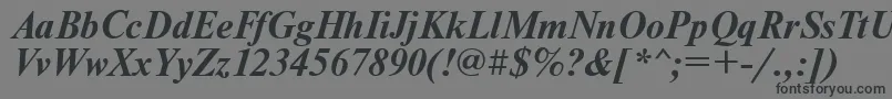 UkrainiantimesetBolditalic Font – Black Fonts on Gray Background