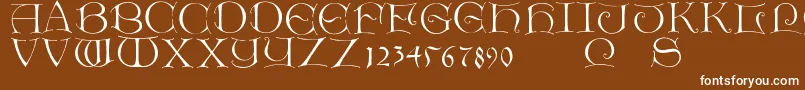 フォントLightunciale – 茶色の背景に白い文字