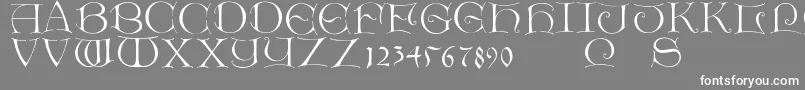 フォントLightunciale – 灰色の背景に白い文字