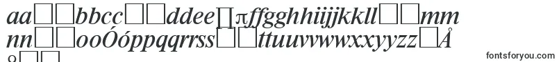 RiccioneSerialRegularitalicDb-Schriftart – polnische Schriften