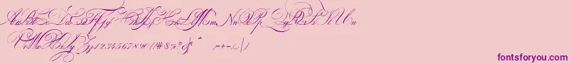 IndentureenglishpenmanPersonalUseDemo-Schriftart – Violette Schriften auf rosa Hintergrund