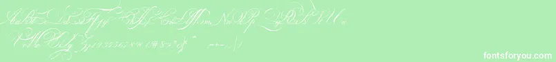 IndentureenglishpenmanPersonalUseDemo Font – White Fonts on Green Background