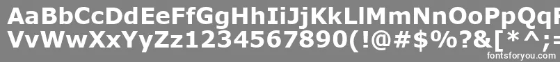 フォントVerdankb – 灰色の背景に白い文字