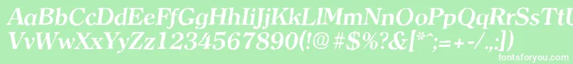 ClearfaceantiqueBolditalic Font – White Fonts on Green Background