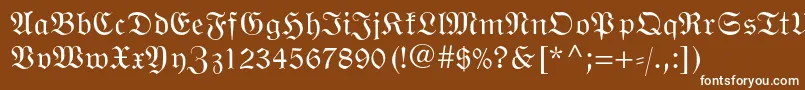 Wittenbergerfrakturmtstd Font – White Fonts on Brown Background