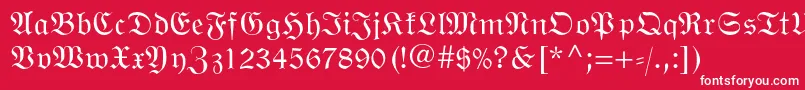 Wittenbergerfrakturmtstd Font – White Fonts on Red Background