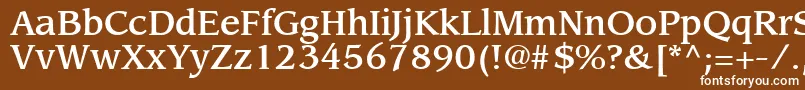 フォントAdvisorMediumSsiMedium – 茶色の背景に白い文字