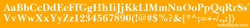 BaskervilleGreekBold Font – White Fonts on Orange Background