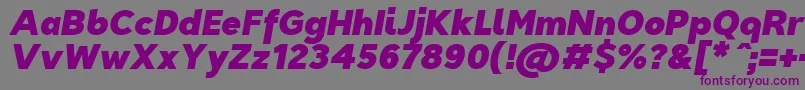 TriompheBlackitalic-fontti – violetit fontit harmaalla taustalla