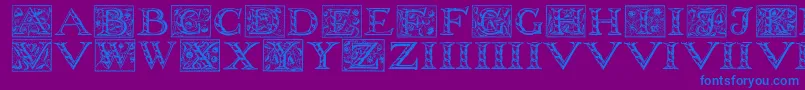 Wolnoughcapitals Font – Blue Fonts on Purple Background