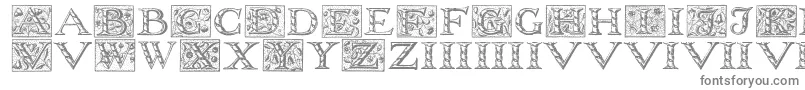 フォントWolnoughcapitals – 白い背景に灰色の文字