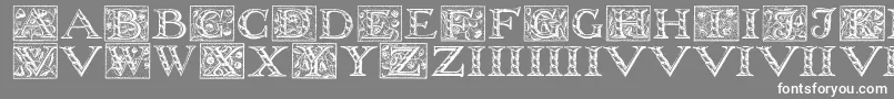 Wolnoughcapitals Font – White Fonts on Gray Background