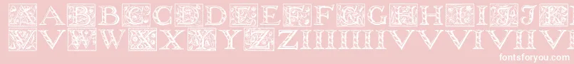 Wolnoughcapitals-Schriftart – Weiße Schriften auf rosa Hintergrund