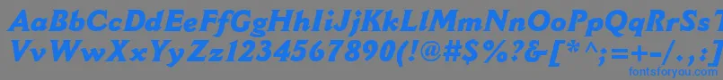 フォントCantoriaMtExtraboldItalic – 灰色の背景に青い文字