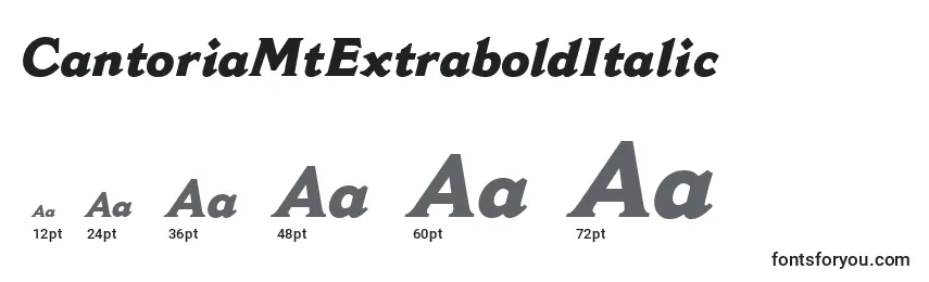CantoriaMtExtraboldItalic Font Sizes